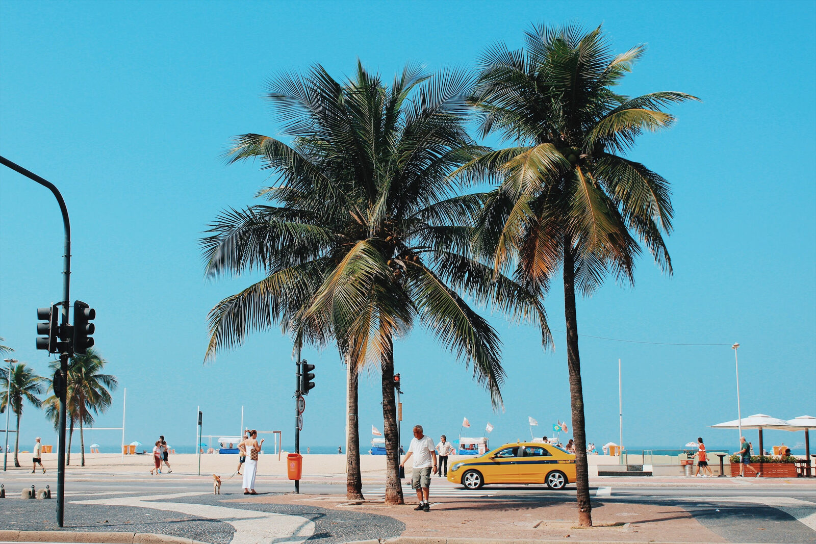 Tall palm trees lining a sunny Miami street against a clear blue sky